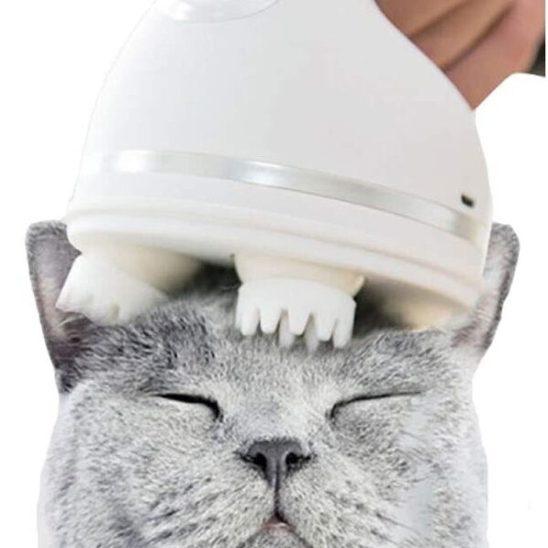 Elektrinis viso kūno masažuoklis