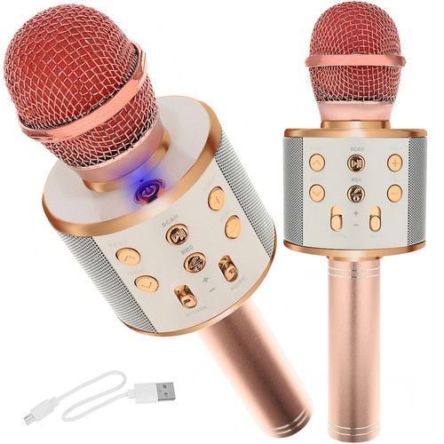 Karaoke mikrofonas su garso kolonėle
