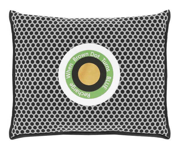 Drėgmės sugėriklis automobiliui su indikatoriumi